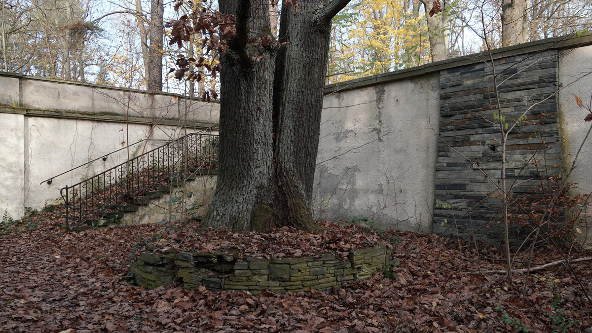 Baum, Mauer, Treppe, Herbstlaub im Ehrenhain der FDJ-Schule am Bogensee